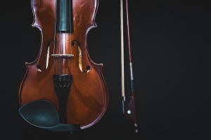 bowed-instrument-1853324_1920.jpg
