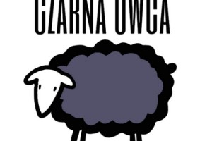 grafika dotycząca kampanii atyhejtowe realizowane przez uczniów piatego liceum ogólnokształcącego.png