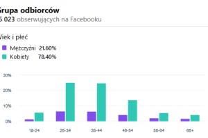 statytsyka grupy odbiorców teatru muzycznego w Lublinie.png